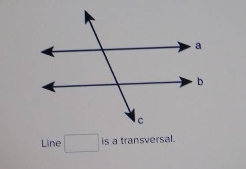 What line is a transversal​