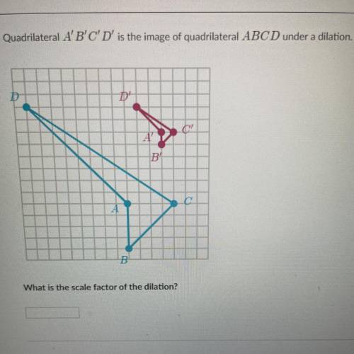 PLS HELP ASAP

Quadrilateral A'B'C'D is the image ABCD under dilation 
what is the scale factor of
