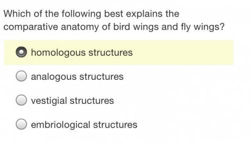Which of the following best explains the comparative anatomy of bird wings and fly wings?

a). hom