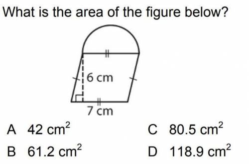 I need help what is the area