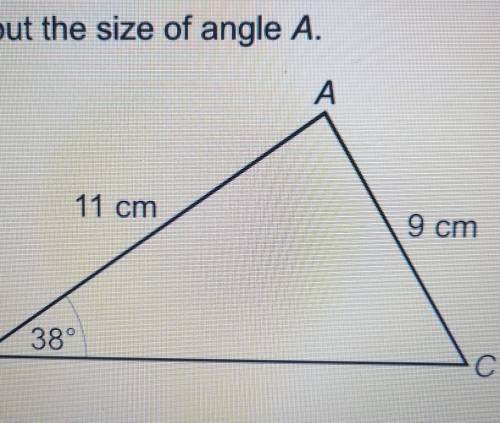 Work out the size of an angle ​A