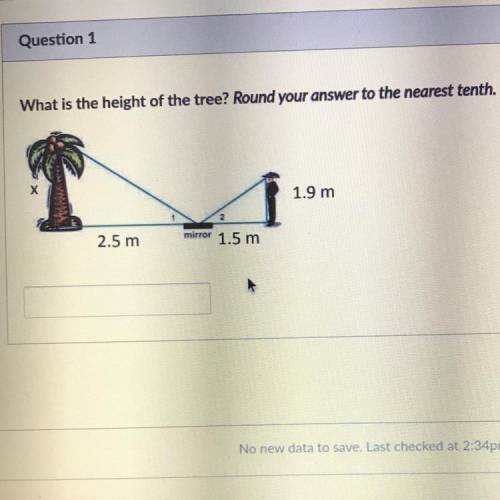 What is the Length of x?