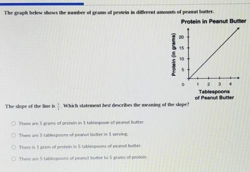 The graph below shows the number of grams of protein in different amounts of peanut butter.​