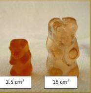 A gummy bear was left in a beaker of distilled water overnight. The gummy bear on the left was the