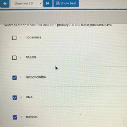 Select all of the structures that both prokaryotic and eukaryotic cells have.
