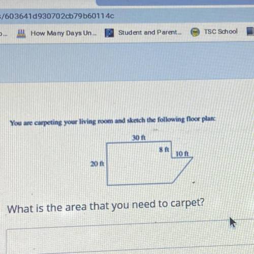 What is the area that you need carpet?