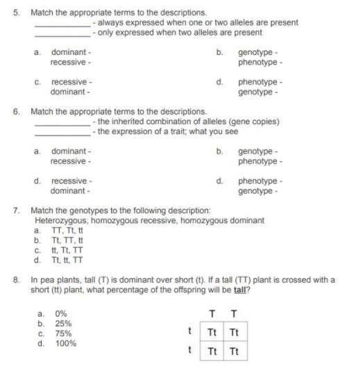 Can someone help me with this? I really need help, It was due yesterday, the questions are in the p