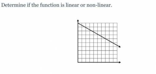 Plss help is this linear or non-linear??