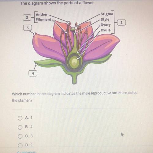 The diagram shows the parts of a flower.
 

2
Anther
Filament
Stigma
Style
Ovary
Ovule
1
3
4
Which