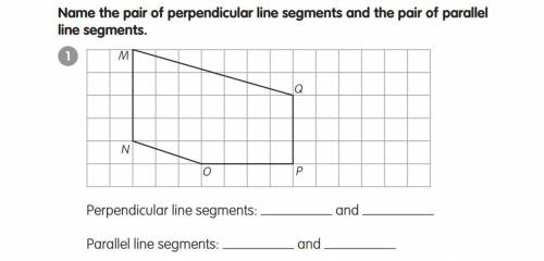 What are the parallel lines and the perpendicular lines