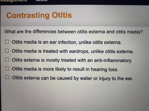What are the differences between otitis externa and otitis media??
