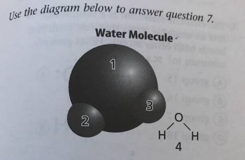 In the diagram above, which shows an atom with a partial negative charge? Group of answer choices 4