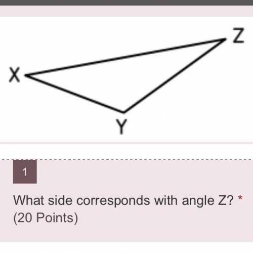 What sides correspond to angle Z