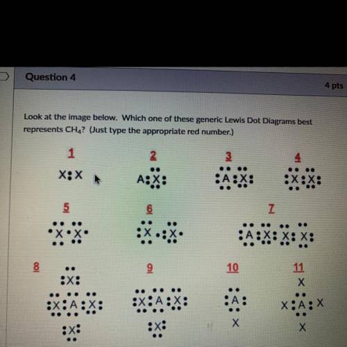Question 4

4 pts
Look at the image below. Which one of these yenetic Lews Dot Diagrans best
repre