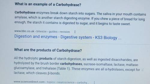 An example of carbohydrase​