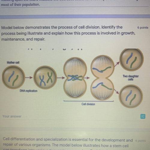 model below demonstrates The process of cell division. Identify the process being illustrated and e