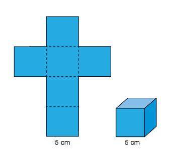 This is a picture of a cube and the net for the cube.

What is the surface area of the cube?
30 cm