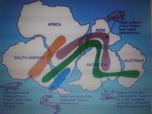 ❗❗Above is a map that supports the idea that the continents were once joined together. Some fossils