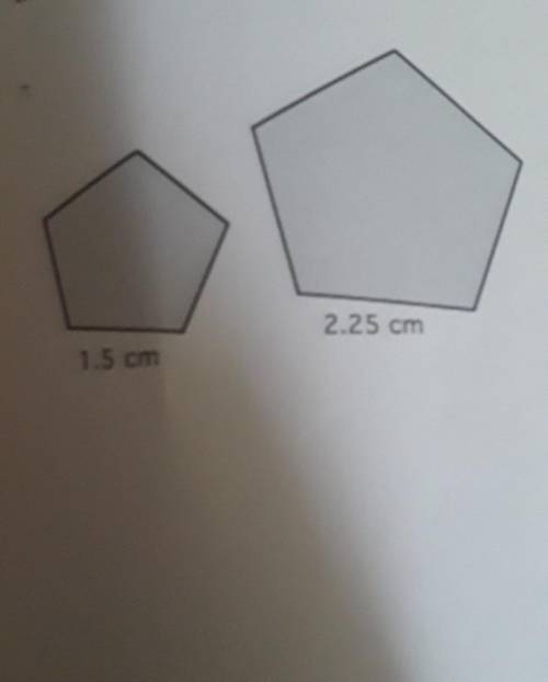Find the scale factor that made the enlargement ​