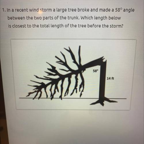 1. In a recent wind storm a large tree broke and made a 58° angle

between the two parts of the tr