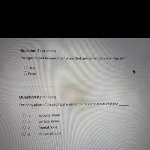 I need help, what are the correct answers?