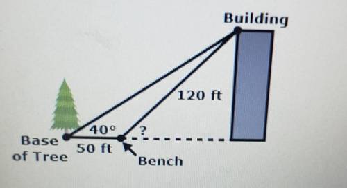 What's the angle of elevation from the bench to the top of this building?​