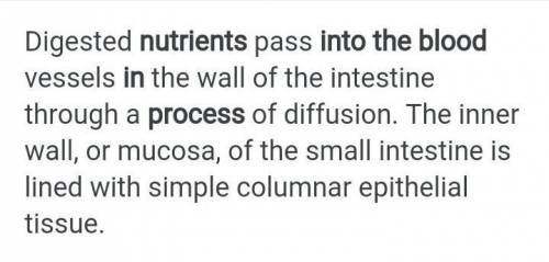 What is the process that transports nutrients from the digestive tract into the blood