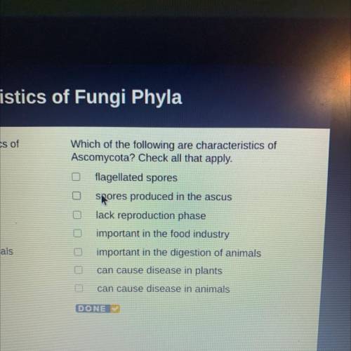 Which of the following are characteristics of Ascomycota? Check all that appply. PLEASE HELP!!
