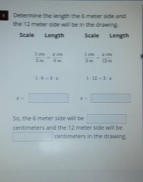 Determine the length the 6 meter side and the 12 meter side will be in the drawing.

plss help me