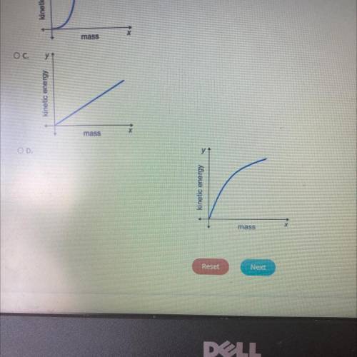 Which graphs show the correct relationship between kinetic energy and mass?