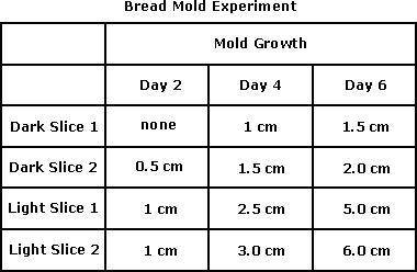 A student hypothesized that bread mold would grow faster in a dark environment than a well-lit envi