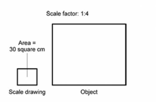 WILL MARK BRAINLIEST 
What is the area of the object the Scale Drawing models?