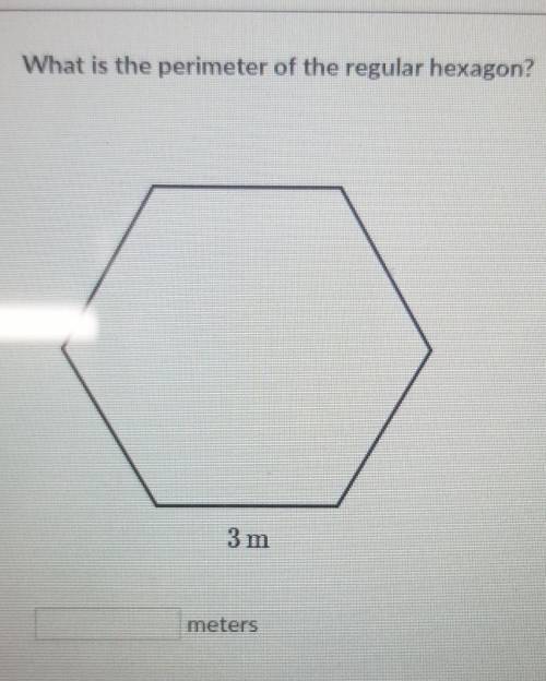 What is the perimeter of the regular hexagon? 3 m meters​