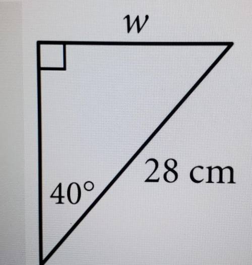 Find the length of side w.​