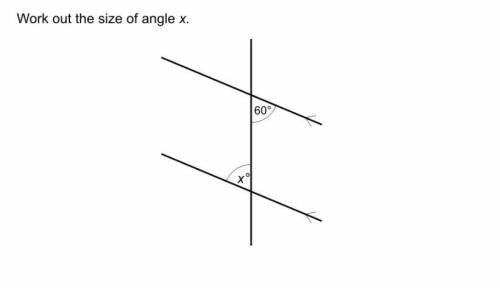 What's the angle of x?
