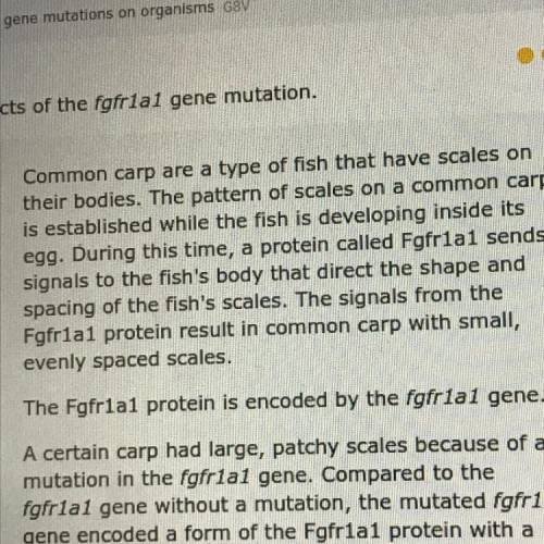 Can someone please help me. Complete the sentence.

The mutation caused the fgfria1 gene to encode