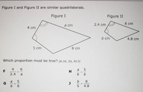 I need help with this question because I dont understand it ​