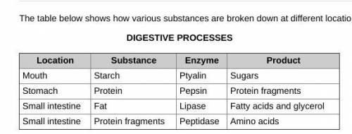 The table below shows how various substances are broken down at different locations in the digestiv