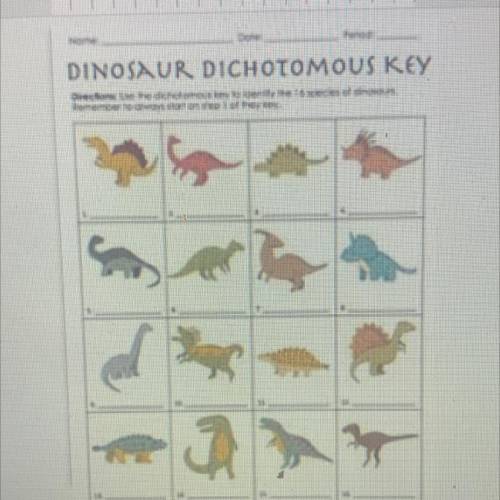 DINOSAUR DICHOTOMOUS KEY
Pls identify the dinosaurs below