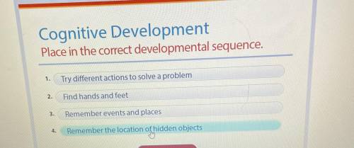 Cognitive development place in the correct sequence