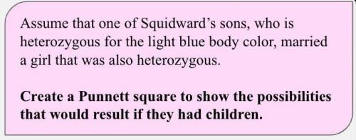 What is the genotype of Squidward's son?