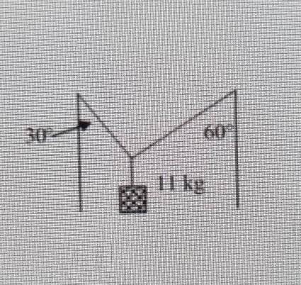 An 11 kg lamp is supported between two vertical

poles by two wires.What is the tension in the rig