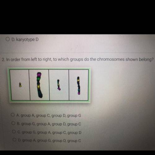 In order from left to right, to which groups do the chromosomes shown belong?