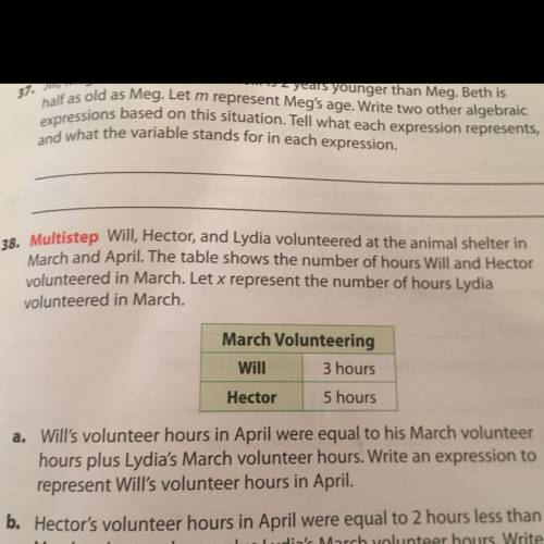 Will's volunteer hours in April were equal to his March volunteer hours plus Lydia's March voluntee