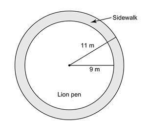 At a zoo, the lion pen has a ring-shaped sidewalk around it. The outer edge of the sidewalk is a ci