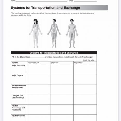 HELP HELP SYSTEMS FOR TRANSPORTATION AND EXCHANGE OF BODY