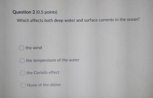 Which affects both deep water and surface currents in the ocean? the wind the temperature of the wa