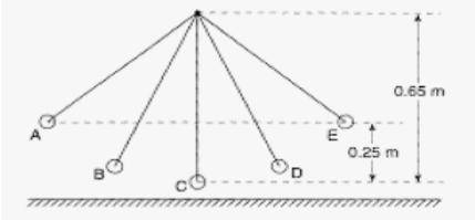 Determine the relative PE vs KE of the ball at each point marked on the pendulum (Is PE/KE increasi