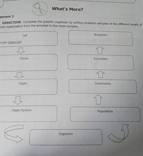 Complete the graphic organizer by writing localized samples of the different levels of biological o