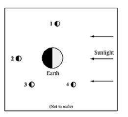 The diagram below shows Earth, four different positions of the Moon, and the direction of incoming